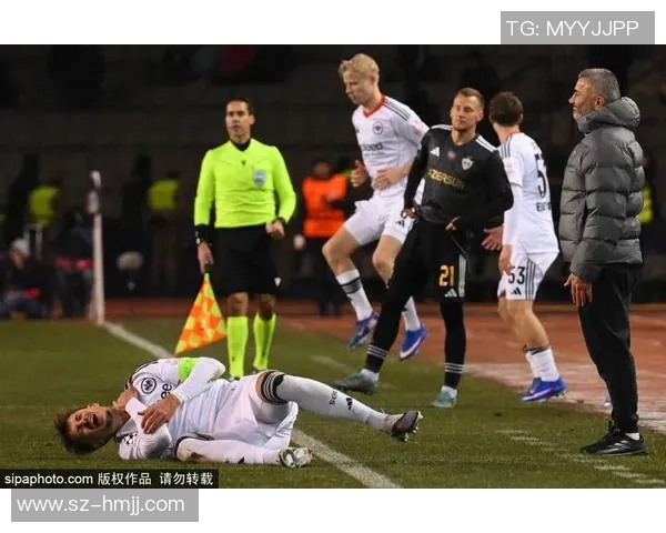 足球明星精彩瞬间合拍视频全集尽享球场魅力与激情时刻